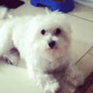 Meet your Posher, Helen